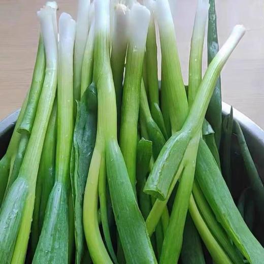 【ZCWJ】  新鲜小葱  蔬菜小水葱细葱蘸酱葱 商品图1