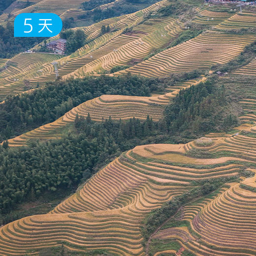 漓江50公里精华版徒步｜高口碑户外路线 多重户外花样玩法 16人小团 5日 商品图8