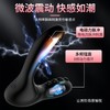 丽波电击角斗士后庭前列腺按摩器男用震动器无线遥控肛塞 商品缩略图2