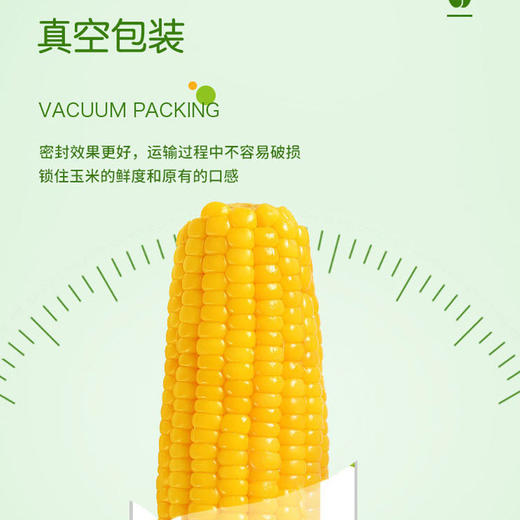 「4斤装！黄糯玉米」北大荒玉米东北糯玉米 整箱发货 真空香糯粮油米面 商品图2