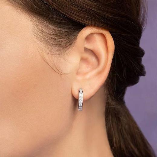 【不退不换，介意勿拍】APM Monaco 耳饰  AE16801OX-F 商品图1