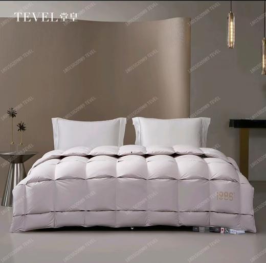 6F堂皇  典藏1986加拿大95白鹅绒春秋被 / 冬被 商品图0