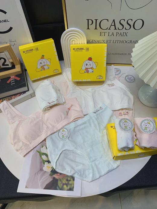 拍2减5！小白狗孔庙祈福成长系列内衣内裤  26Y03018- 商品图0