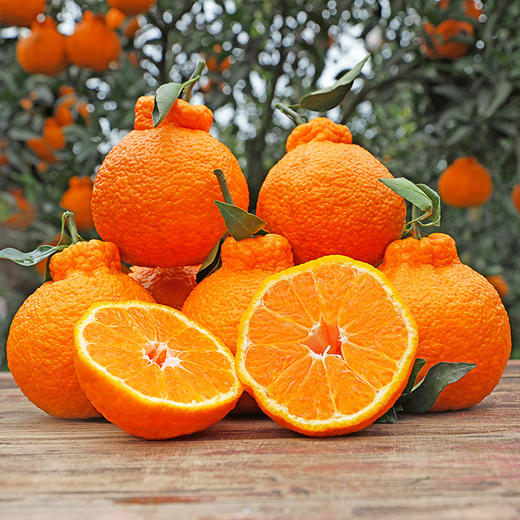 【积分兑换】四川丑橘不知火 3/4.5/8斤装 单果70mm 商品图3