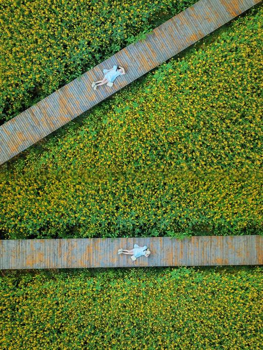 【春日出游·6折享】¥1480起住4房/5房/6房别墅！春日踏青徒步，平时周末通用！邛崃112号院，设计师精品民宿，千亩油菜花田，dx 商品图9