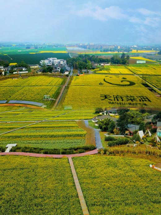 【春日出游·6折享】¥1480起住4房/5房/6房别墅！春日踏青徒步，平时周末通用！邛崃112号院，设计师精品民宿，千亩油菜花田，dx 商品图5