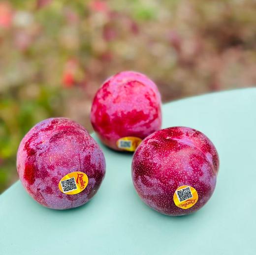 智利玫瑰李| 多汁味甜，清爽不酸涩🍃 核小肉多 ，果肉厚实~ 商品图0