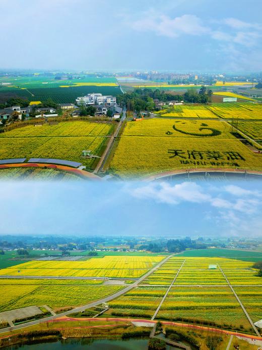 【春日出游·6折享】¥1480起住4房/5房/6房别墅！春日踏青徒步，平时周末通用！邛崃112号院，设计师精品民宿，千亩油菜花田，dx 商品图3