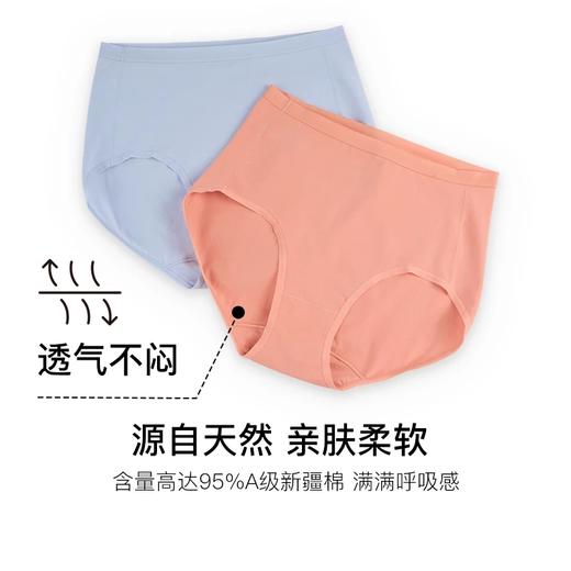 ubras40S纯棉抗菌裆女士高腰/中腰三角裤（三条装）UE2341142/UE2341152 商品图7