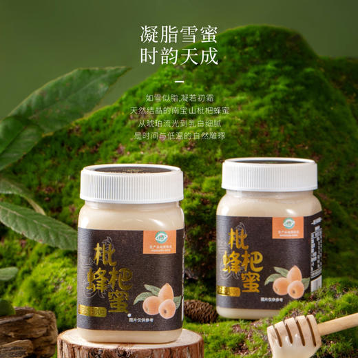 蟲鑫枇杷蜂蜜|生于云海之巅 酿自纯净之源  秋冬季节温润佳品【清明期间正常发货】 商品图1
