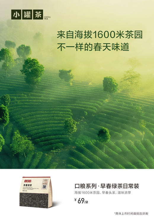 小罐茶2026早春绿茶头拔芽叶大袋装80g茶叶自己喝实惠装 商品图0