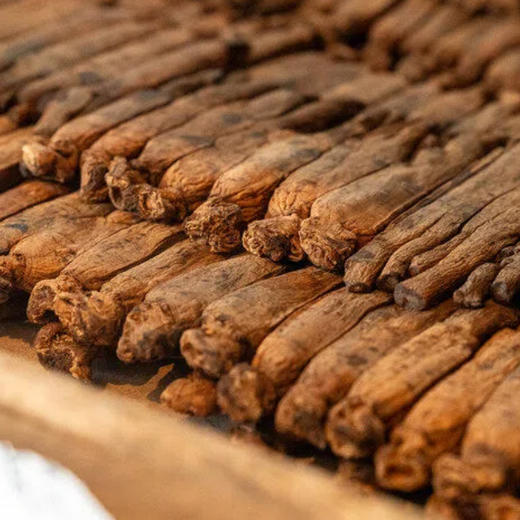 得幸X开成高俪红参整参|红参届的‘仙品’，稀有品相，收藏送礼都合适|切片打粉无礼盒 商品图3