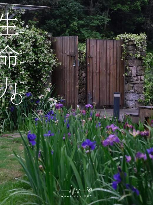 🍃 赏春丨不如方 · 仙居溪隅店×2天1晚套餐丨台州 商品图8