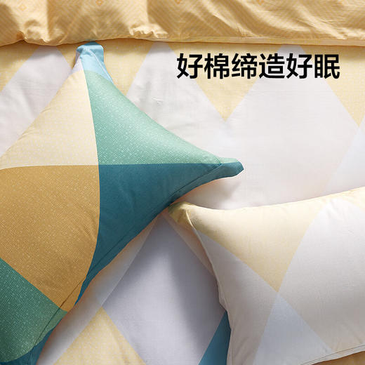 【积分兑换】LOVO 山野回响全棉四件套 床单款 1.5-1.8米床 商品图2