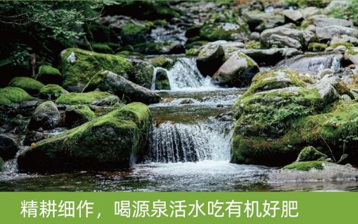 奶香鲜芦笋 商品图7