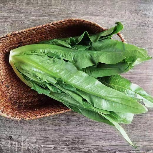【ZCWJ】  油麦菜 新鲜莜麦菜 火锅食材 商品图1