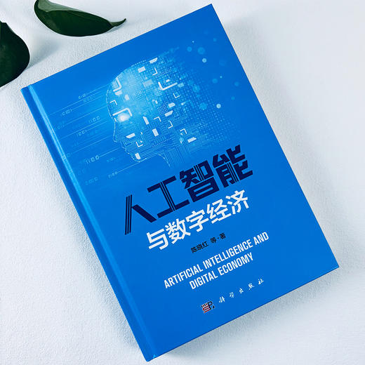 人工智能与数字经济 商品图2