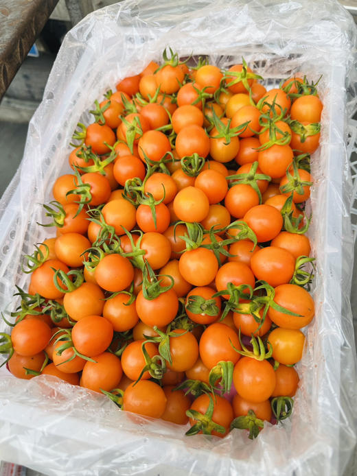 香芒皇后番茄 商品图7