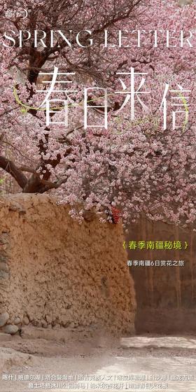 春日来信 6日 散拼+私家