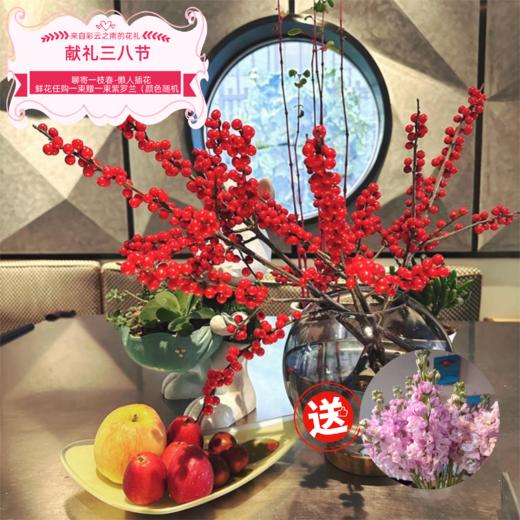 菜头商城 聊寄一枝春，云南懒人插花之〔冬青〕A级 一束3-5枝装 商品图0