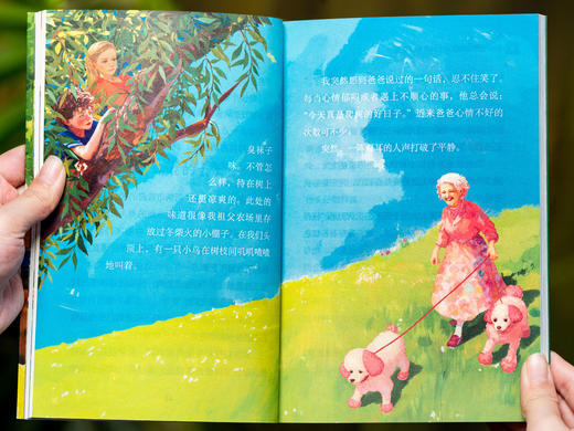 【爆销30万册】全国小学生的传宝级读物|《小书虫国际大奖小说》（全12册）|一次囊括世界儿童文学，本本大奖、紧贴语文课本，滋养孩子一生 商品图10