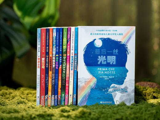 【爆销30万册】全国小学生的传宝级读物|《小书虫国际大奖小说》（全12册）|一次囊括世界儿童文学，本本大奖、紧贴语文课本，滋养孩子一生 商品图4