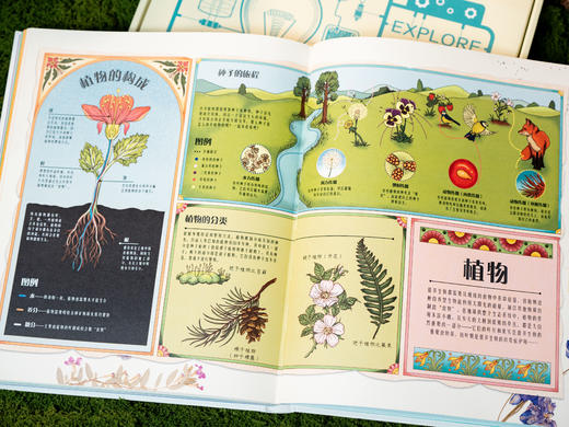 《DK图解万物》DK重磅新作！一本=通识知识宝库+思维升级工具|百余幅精美信息图解，演“活”1000+知识，用图解带孩子“透视”万物、表达思想、解决问题 商品图7