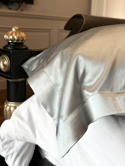 ✨最后库存❗️抄底清仓直降💰10❗️仅此一批，出口欧美遗留订单❗️ 💥院线美容spa级【SOOKIE 30姆米真丝枕套】 ¥19.9亏本清仓💰 商品图2