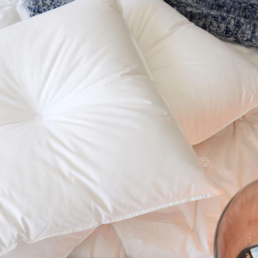 【特价】日式无印简约云柔枕芯良品全棉柔软枕头白色学生枕头成人 商品图1