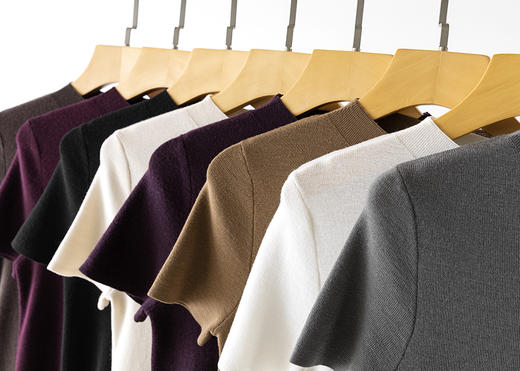 【高品质私服】【扬子16针精纺纱线短袖】利落修饰颈部线条，轻松提升整体造型的精致度YS24090【仅限签收48小时内退换】-CC 商品图2