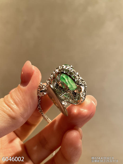 6046002，佛公吊坠。具体价格微信咨询 商品图6