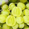 【活动】 澳洲特级甜地球青提 一盒5斤 脆甜可口  甜蜜多汁 商品缩略图1
