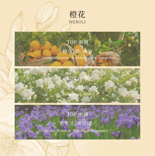 abovezero零上|03橙花 商品图1