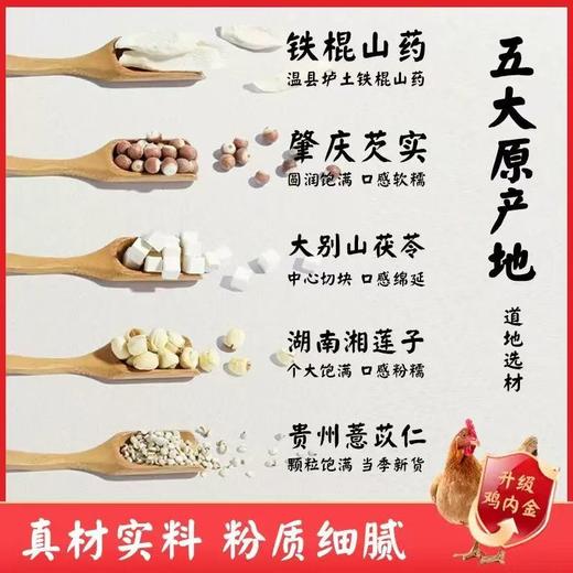 五行健脾散 早餐轻食低脂食品健康食品熟粉粉薏仁莲子茯苓白粉 商品图3