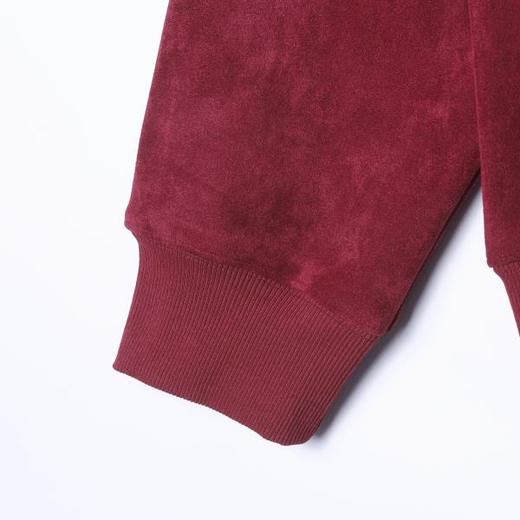 SDSA男士秋冬新款痞帅男装简约植绒领口印花设计圆领卫衣百搭时尚 商品图3