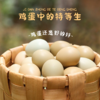 冠天骄 七彩野鸡蛋Q弹软糯宝宝爱吃 商品缩略图0