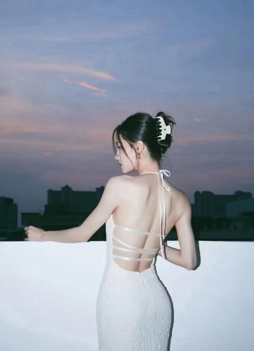 F030652醋酸材质极简线条点缀使者鲨鱼夹抓夹 商品图14