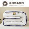 日式无印抗菌羊毛被良品纯色澳洲羊毛被芯立体羊毛被秋冬保暖被子 商品缩略图0