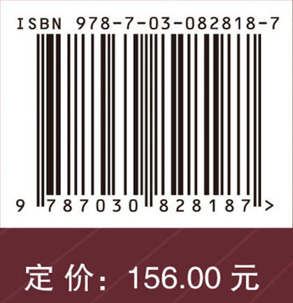 西部地区高水平对外开放研究 商品图4