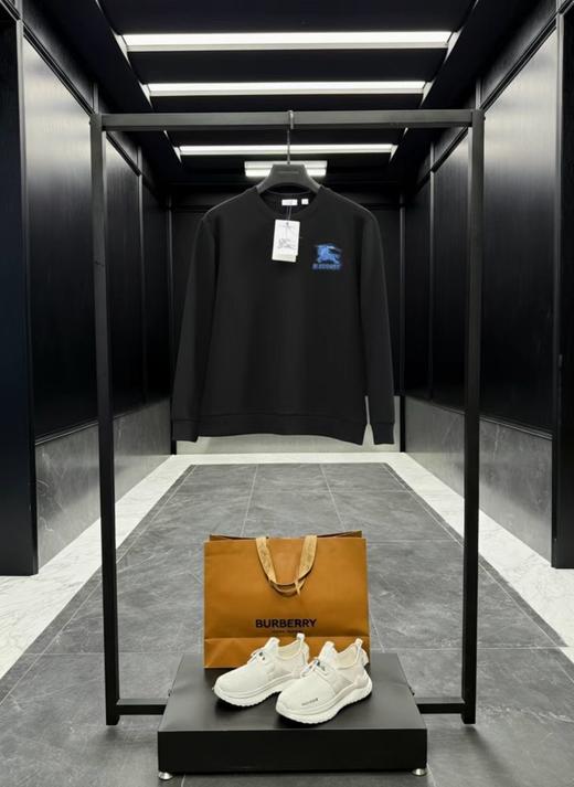 F0306126早春植绒刺绣工艺水柔棉工艺情侣款圆领套头卫衣 商品图2