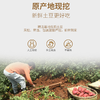【云南高原红皮黄心土豆】色泽红润黄心细腻 炒菜百搭软糯入味 商品缩略图3