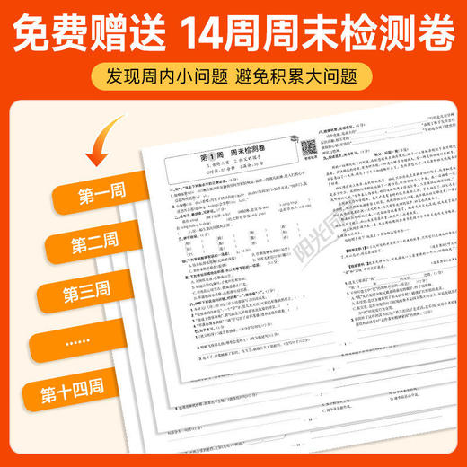 2026春阳光同学提优新卷一二三四五六年级下册语文数学英语人教版同步试卷小学单元专项卷期中期末基础卷 商品图1