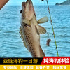 海洋 亚庇海钓一日游 商品缩略图0