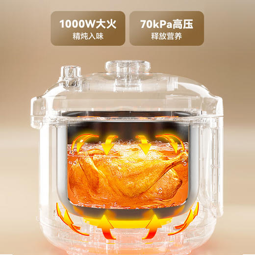苏泊尔电压力锅5L 双胆 SY-50YC5007 商品图2