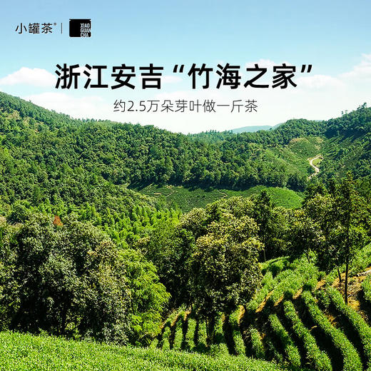 小罐茶 安吉白茶10罐装（金罐） 商品图2
