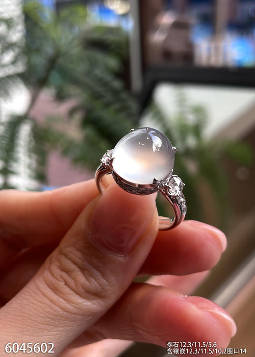 6045602，蛋面戒指。具体价格微信咨询 商品图2