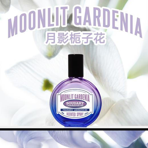 Boudart铂得 晨雾山茶花/月影栀子花香氛喷雾40ml 商品图4