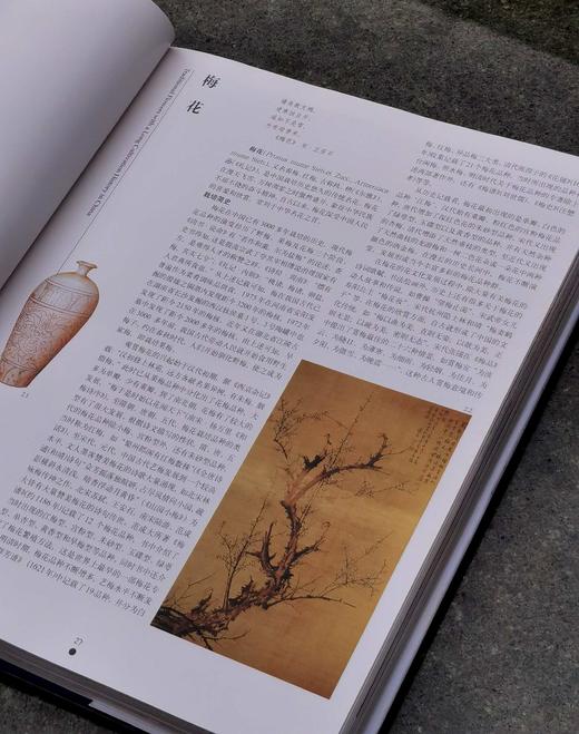 【1.3折】《中国名花》，布面精装，16开，铜版彩印，锁线装，张启翔著，323页，云南人民出版社1999年版，定价520，售价68元。品相95成。 商品图11