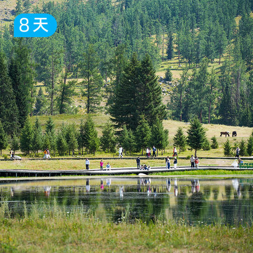 我的阿勒泰 30公里轻徒步 一次走遍阿勒泰六大秘境 8日 商品图7