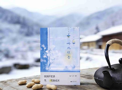 听风读雪   龙飞宇/著 商品图2